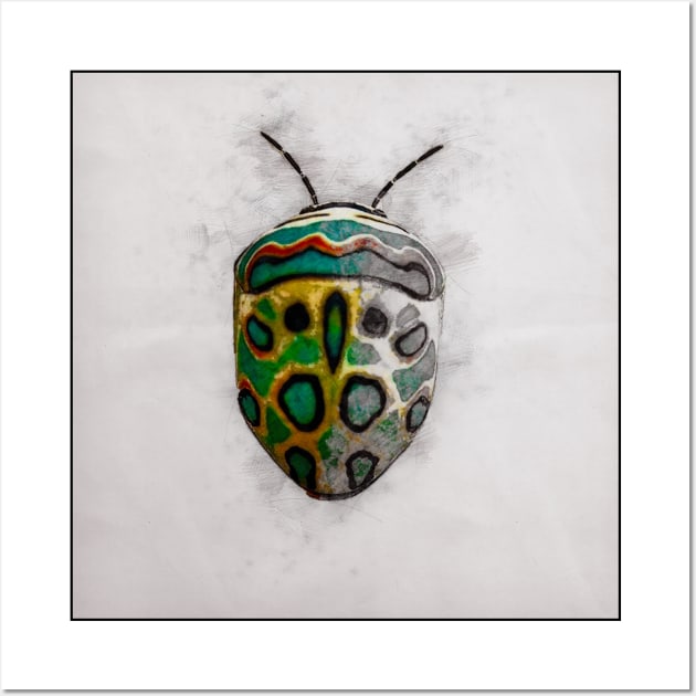 Picasso Bug sketch Wall Art by Blind Man Studio